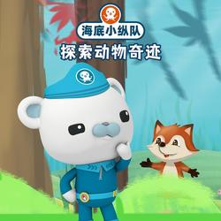 口袋故事
