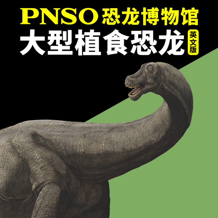 口袋故事